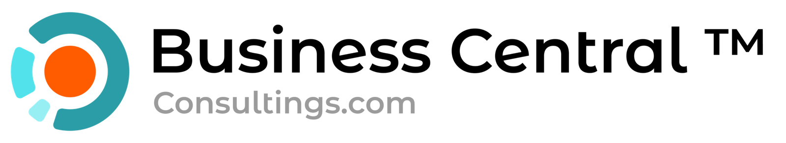 Business Central Consultings logo